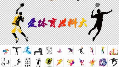 哪里有适合初学者的篮球进步课程?_2