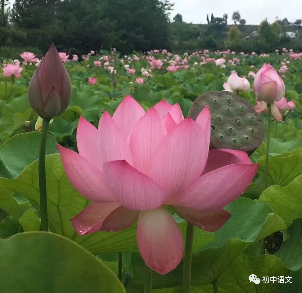 制定科学的篮球训练与休息计划_0